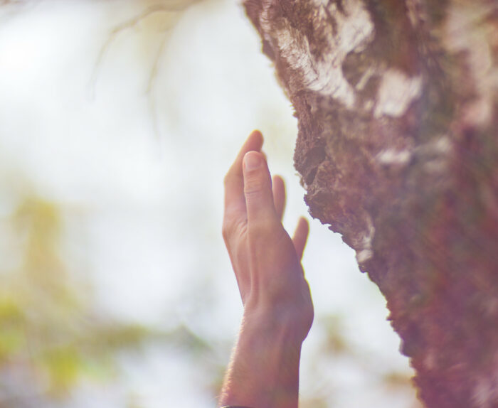 Meeting Me for the First Time: What to Expect