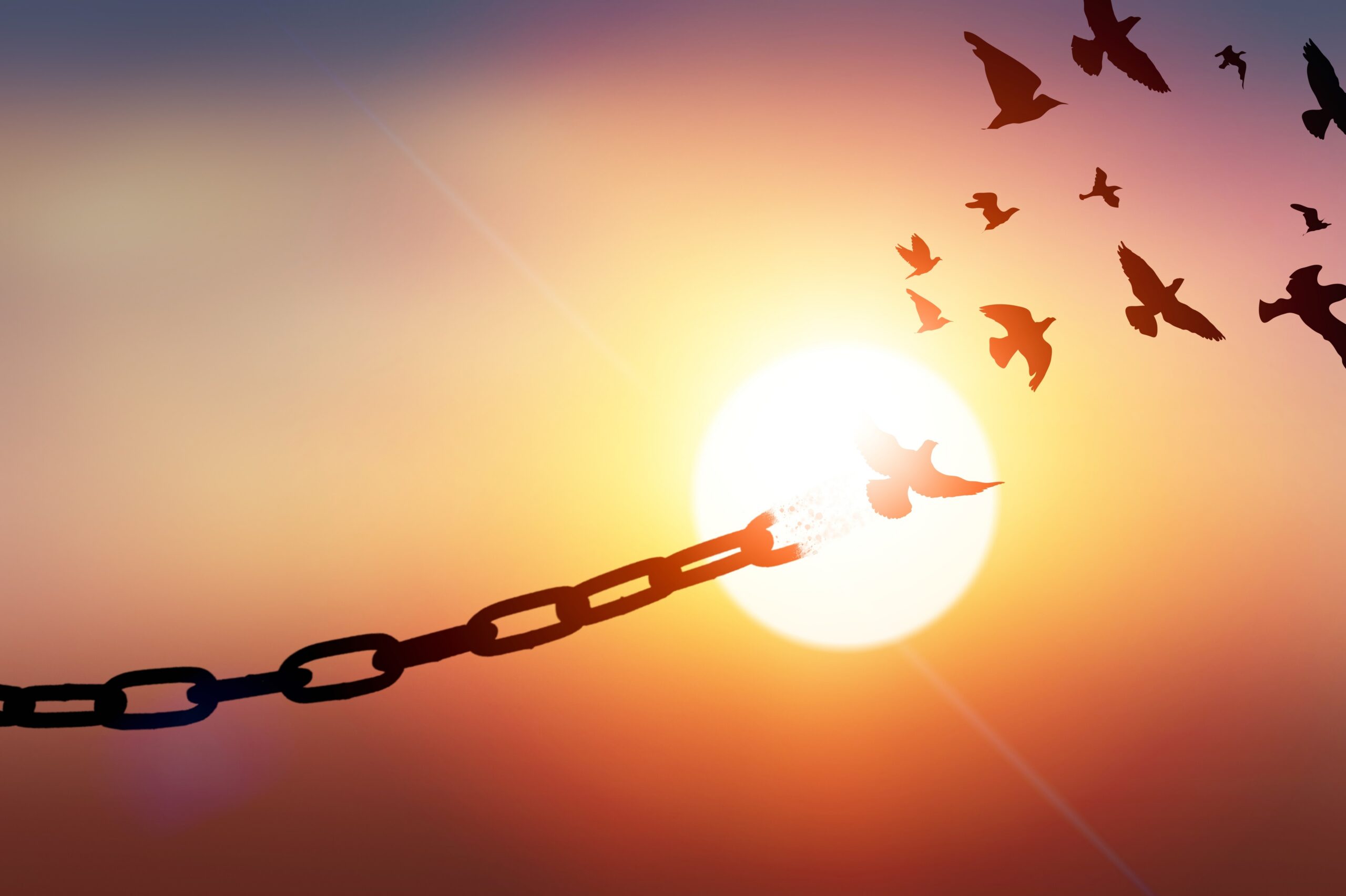 Concept freedom with chains breaking free birds that flies away sunset liberty concept